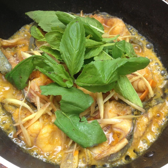 Cooking is Fun : ปลาดุกผัดพริกเหลืองใบกะเพรา