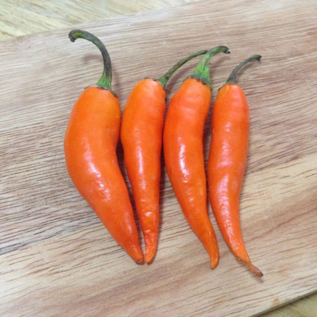 Cooking is Fun : ปลาดุกผัดพริกเหลืองใบกะเพรา