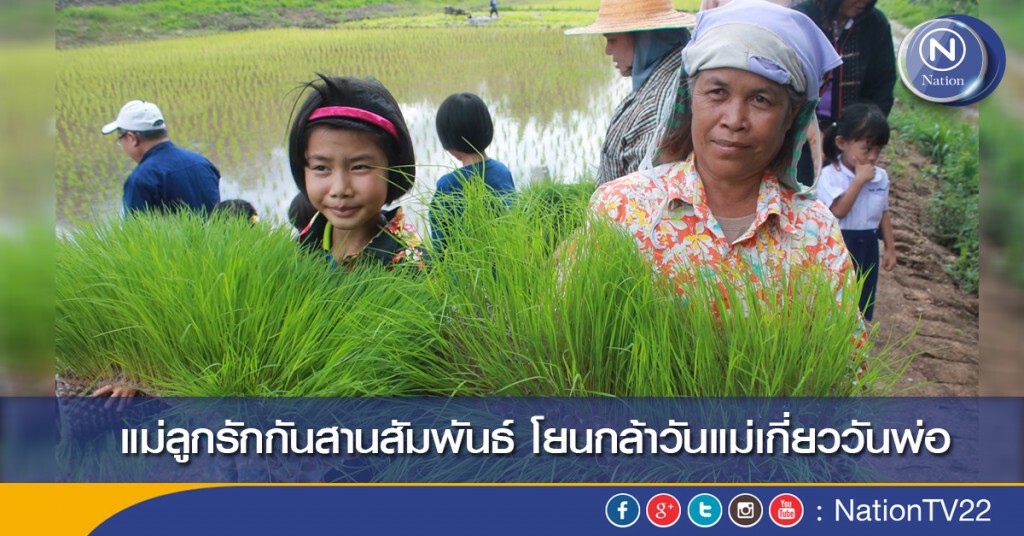 แม่ลูกรักกันสานสัมพันธ์ โยนกล้าวันแม่เกี่ยววันพ่อ แม่ลูกรักกันสานสัมพันธ์ โยนกล้าวันแม่เกี่ยววันพ่อ