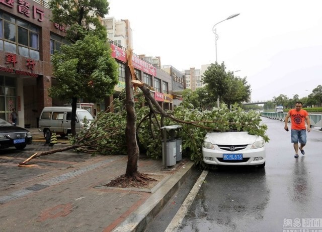 ภาพชุดพายุ"เซาเดโลร์"ถล่มจีน