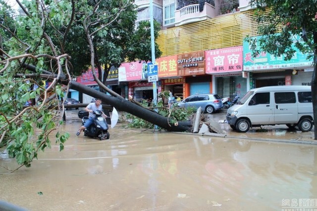 ภาพชุดพายุ"เซาเดโลร์"ถล่มจีน