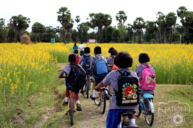 "ทุ่งปอเทือง"สถานที่ท่องเที่ยวแห่งใหม่ของ จ.สงขลา