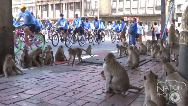 ผู้ว่าฯลพบุรีนำข้าราชการประชาชนกว่า 8,500 คน ปั่นเพื่อแม่