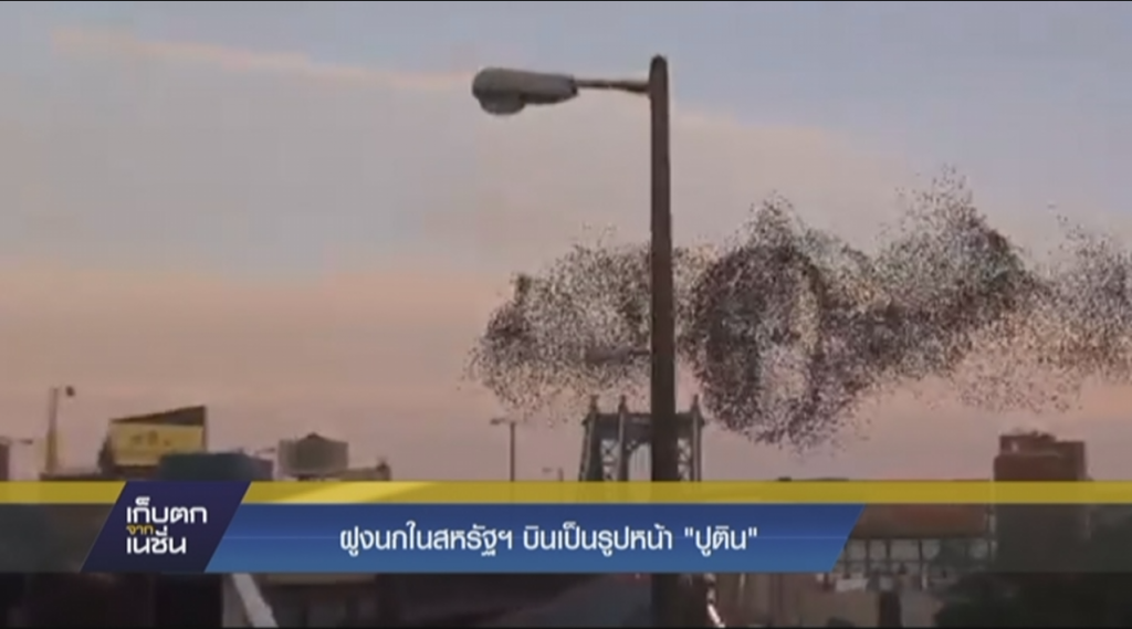 ฝูงนกในสหรัฐฯ บินเป็นรูปหน้า "ปูติน" ฝูงนกในสหรัฐฯ บินเป็นรูปหน้า "ปูติน"