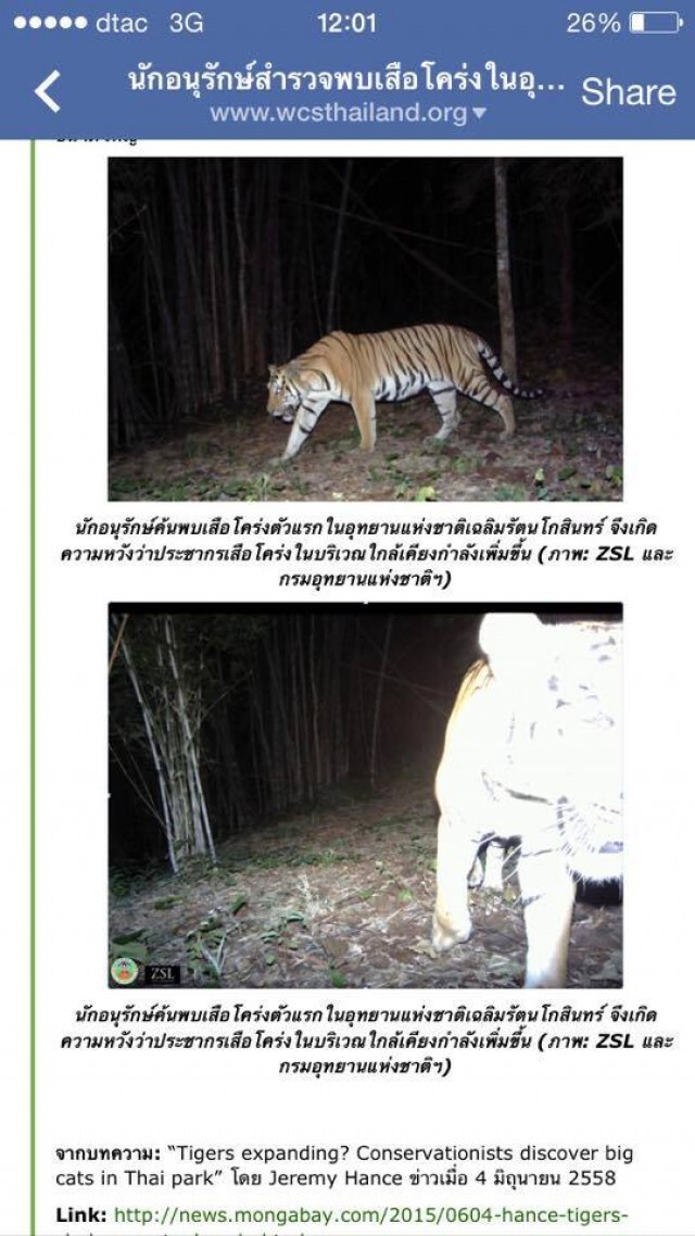พบ "เสือโคร่ง"ตัวแรกใน "อช.เฉลิมรัตนโกสินทร์"