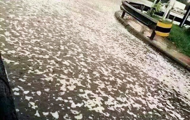 ช็อค! โฟมสีขาวลอยเต็มถนน หลังฝนตกที่เทียนจิน