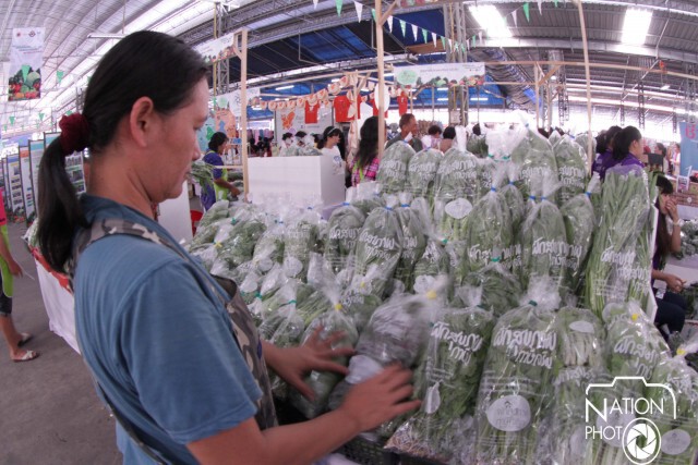 พื้นที่ไม่ใช่ข้อจำกัด... ของผัก(สุขภาพ)คนเมือง