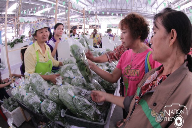 พื้นที่ไม่ใช่ข้อจำกัด... ของผัก(สุขภาพ)คนเมือง