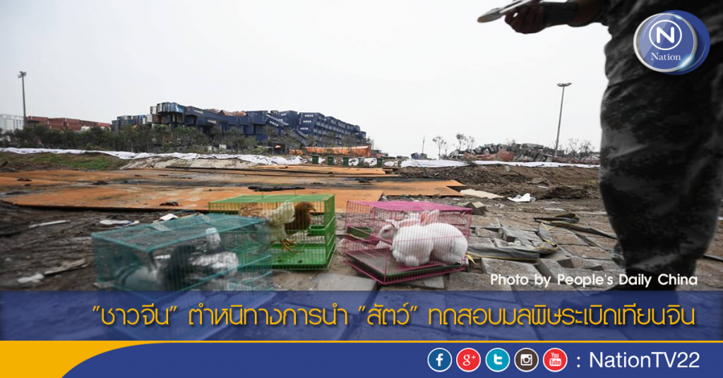 "ชาวจีน" ตำหนิทางการนำ "สัตว์" ทดสอบมลพิษระเบิดเทียนจิน "ชาวจีน" ตำหนิทางการนำ "สัตว์" ทดสอบมลพิษระเบิดเทียนจิน