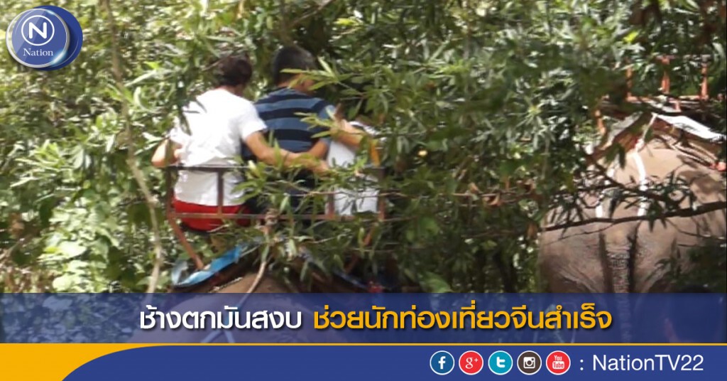 ช้างตกมันสงบ ช่วยนักท่องเที่ยวจีนสำเร็จ