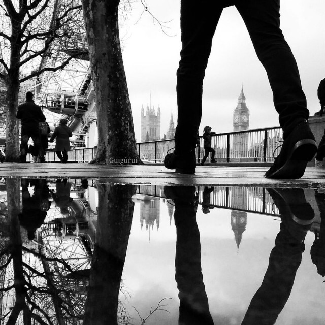 สวยงาม! ภาพถ่ายโลกคู่ขนานจากแอ่งน้ำโดยใช้สมาร์ทโฟน