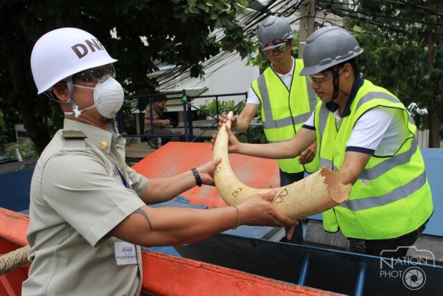 บดทำลาย"งาช้างผิดกม."ครั้งแรกของไทย