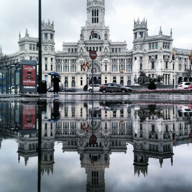 สวยงาม! ภาพถ่ายโลกคู่ขนานจากแอ่งน้ำโดยใช้สมาร์ทโฟน