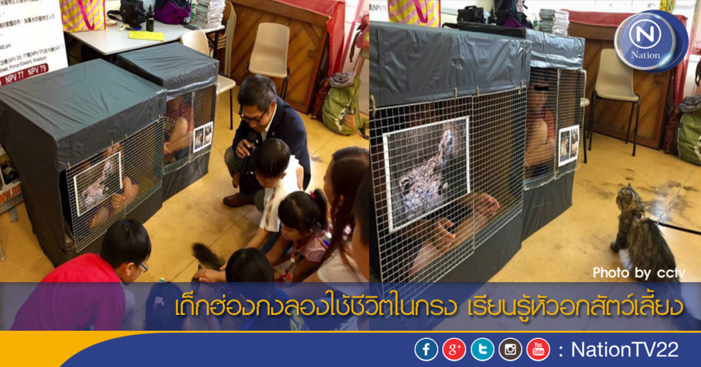 เด็กฮ่องกงลองใช้ชีวิตในกรง เรียนรู้หัวอกสัตว์เลี้ยง เด็กฮ่องกงลองใช้ชีวิตในกรง เรียนรู้หัวอกสัตว์เลี้ยง
