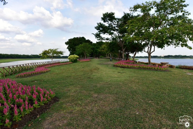 "ศูนย์กีฬาทางน้ำบึงหนองบอน" สถานออกกำลังกายทางเลือกใหม่ คน กทม.