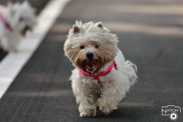 มีด้วยหรือ? พื้นที่สีเขียวแห่งใหม่ ตอบโจทย์คนกรุงในทุกมิติ "Run Ride Walk Boat"