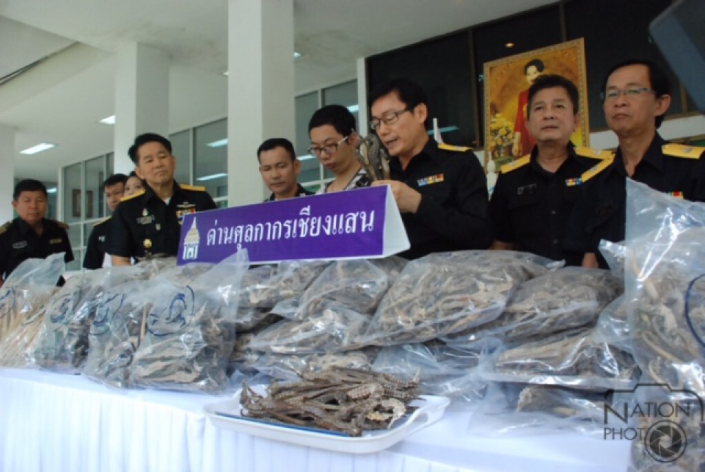 ศุลกากรเชียงแสนยึดซากม้าน้ำ คาดเตรียมส่งออกจีน ศุลกากรเชียงแสนยึดซากม้าน้ำ คาดเตรียมส่งออกจีน