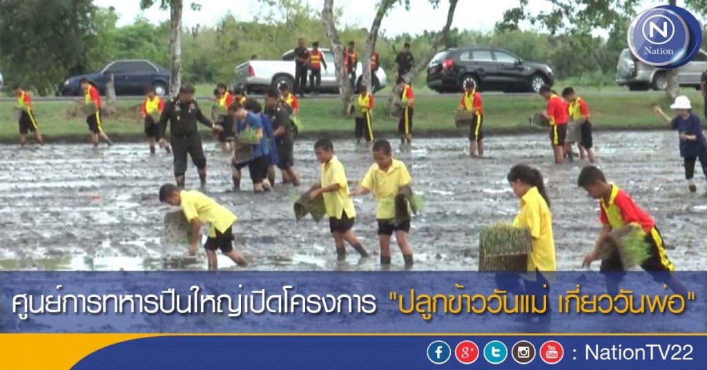 ศูนย์การทหารปืนใหญ่เปิดโครงการ "ปลูกข้าววันแม่ เกี่ยววันพ่อ" ศูนย์การทหารปืนใหญ่เปิดโครงการ "ปลูกข้าววันแม่ เกี่ยววันพ่อ"