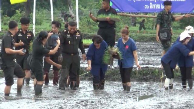 ศูนย์การทหารปืนใหญ่เปิดโครงการ "ปลูกข้าววันแม่ เกี่ยววันพ่อ"
