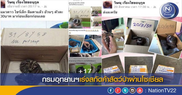 กรมอุทยานฯ ตั้งทีมสกัด"ค้าสัตว์ป่า"ผ่านโซเชียล