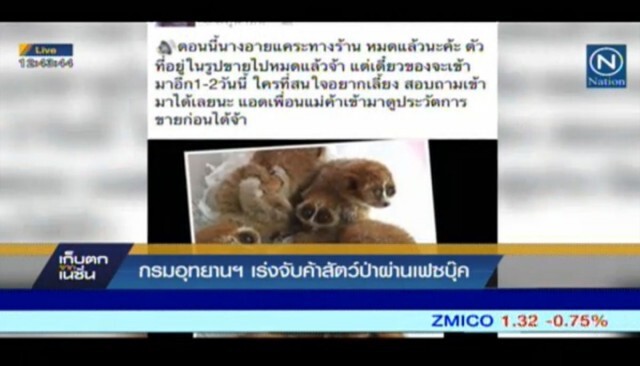 กรมอุทยานฯ ตั้งทีมสกัด"ค้าสัตว์ป่า"ผ่านโซเชียล