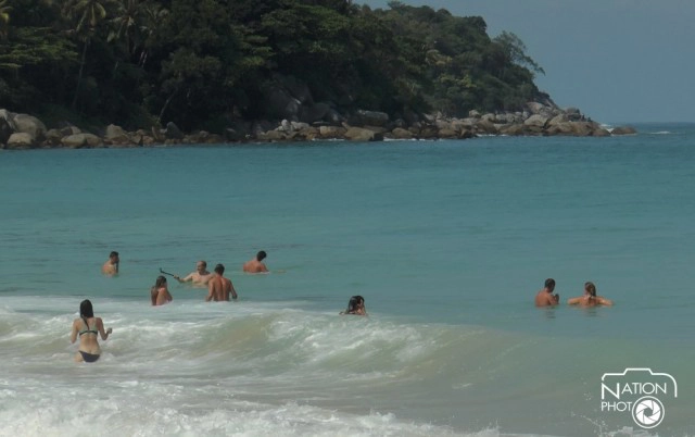 นักวิชาการประมงแจง"ปลาปักเป้า"กัดนทท. ไม่ใช่ฉลาม