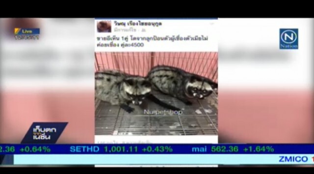 กรมอุทยานฯ ตั้งทีมสกัด"ค้าสัตว์ป่า"ผ่านโซเชียล
