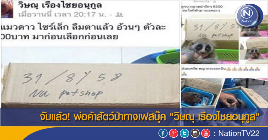 จับแล้ว! พ่อค้าสัตว์ป่าทางเฟสบุ๊ค "วิษณุ เรืองไชยอนุกูล" จับแล้ว! พ่อค้าสัตว์ป่าทางเฟสบุ๊ค "วิษณุ เรืองไชยอนุกูล"