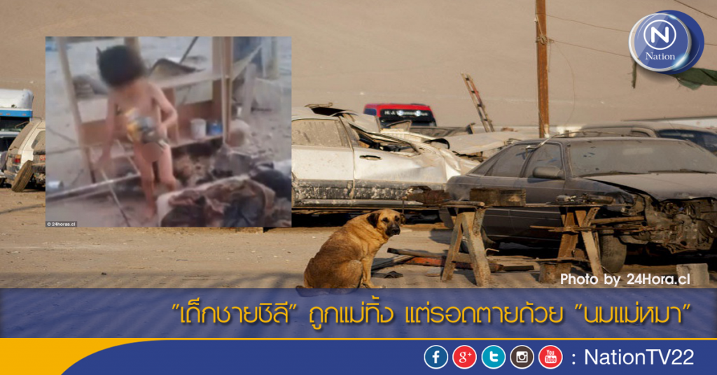 "เด็กชายชิลี" ถูกแม่ทิ้ง แต่รอดตายด้วย "นมแม่หมา"