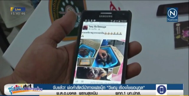 ปทส. ยันตามจับถึงตัวการใหญ่ค้าสัตว์ป่าออนไลน์