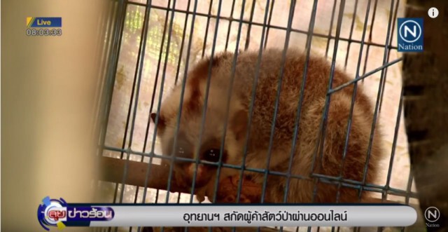 "อุทยานฯ" สกัดผู้ค้าสัตว์ป่าผ่านออนไลน์