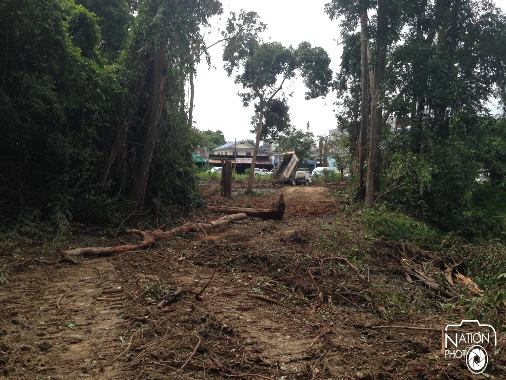 โวยตัดต้นไม้อายุกว่า 50 ปี รอบสระวัดแก้วกระบี่ โวยตัดต้นไม้อายุกว่า 50 ปี รอบสระวัดแก้วกระบี่