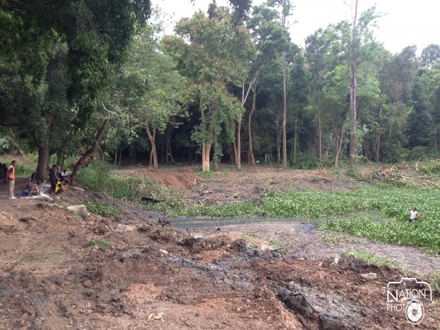 โวยตัดต้นไม้อายุกว่า 50 ปี รอบสระวัดแก้วกระบี่