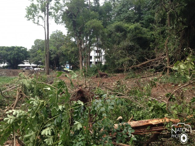 โวยตัดต้นไม้อายุกว่า 50 ปี รอบสระวัดแก้วกระบี่