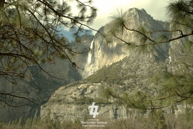 Moon Walker พระจันทร์นักเดินทาง :  “YOSEMITE แม้ไม่ใช่บ้านเกิด แต่อยากได้เป็นเมืองนอน”