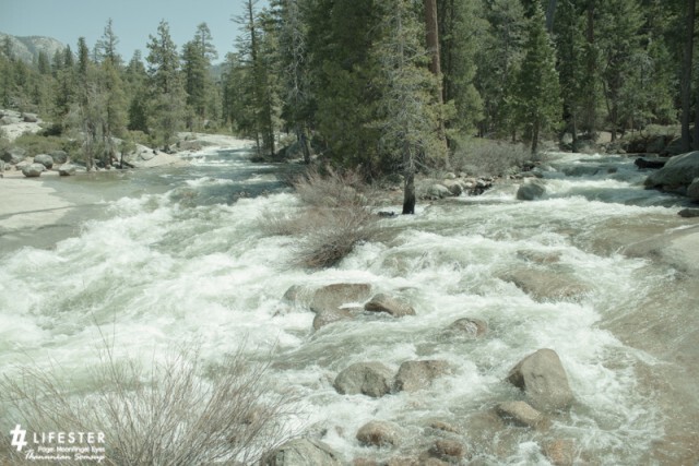 Moon Walker พระจันทร์นักเดินทาง :  “YOSEMITE แม้ไม่ใช่บ้านเกิด แต่อยากได้เป็นเมืองนอน”