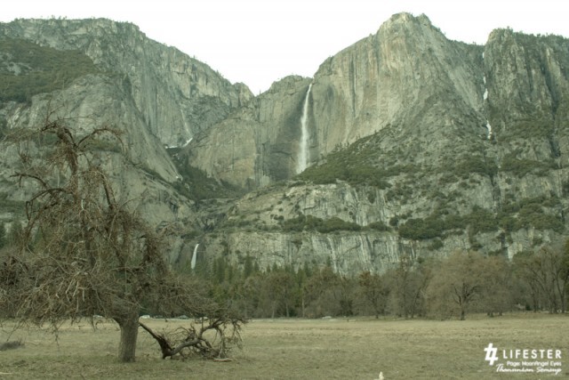 Moon Walker พระจันทร์นักเดินทาง :  “YOSEMITE แม้ไม่ใช่บ้านเกิด แต่อยากได้เป็นเมืองนอน”