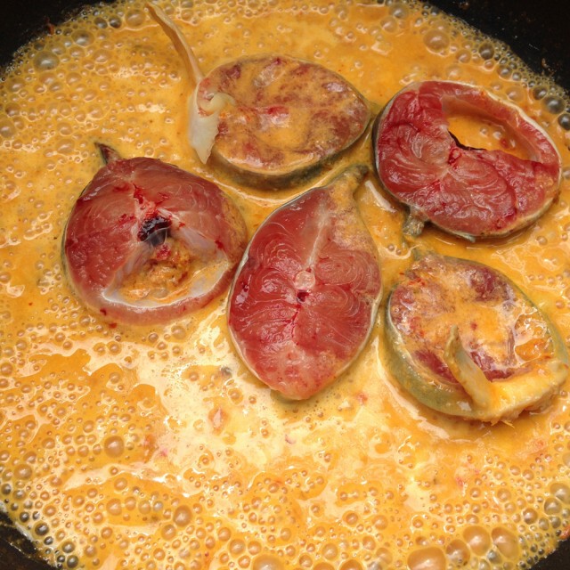 Cooking is Fun : แกงคั่วปลาดุกใส่มะระ