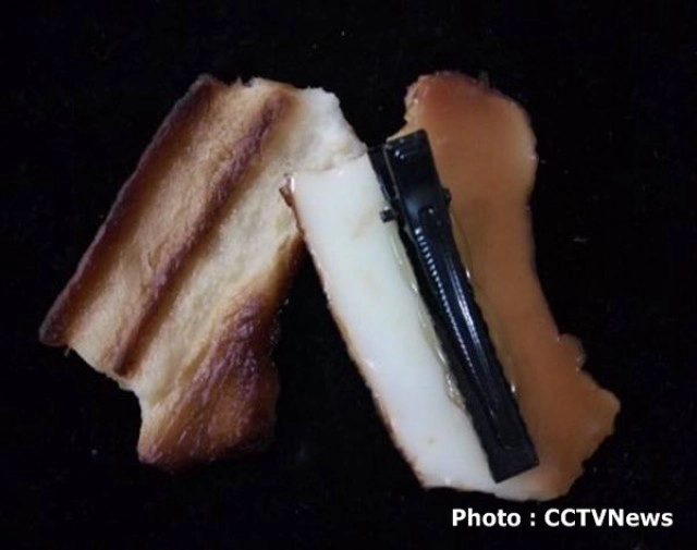 เทรนด์สุดแปลก! สาวจีนฮิต "กิ๊บติดผมรูปอาหาร-แมลง"