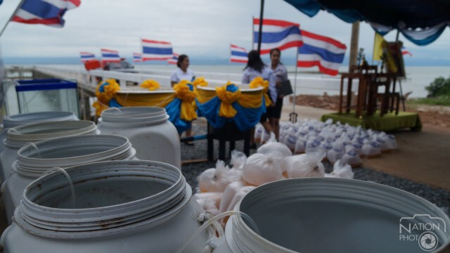 ปล่อยกุ้งทะเล 1 ล้านตัว ฟื้นฟูทรัพยากรสัตว์น้ำ