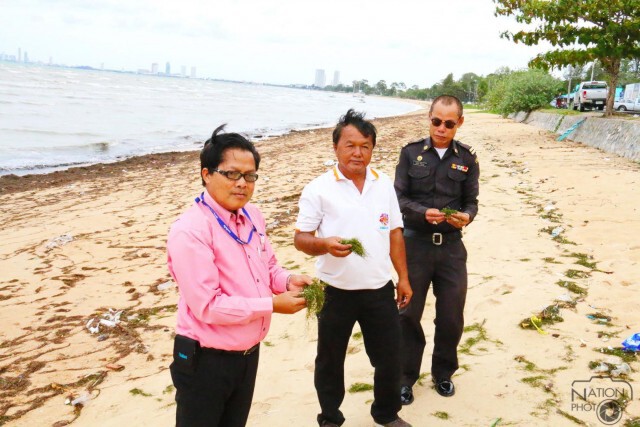 พายุ"หว่ามก๋อ"ซัดหญ้าทะเล ขยะ เกยหาดบางเสร่
