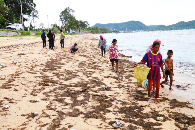 พายุ"หว่ามก๋อ"ซัดหญ้าทะเล ขยะ เกยหาดบางเสร่