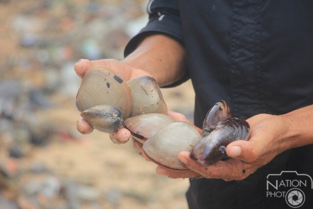 แห่เก็บหอยหลังถูกคลื่นทะเลซัดเกยชายหาด