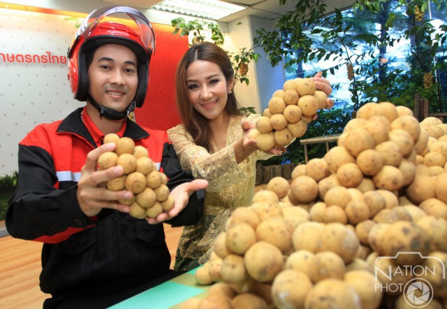 สนับสนุนลองกองแดนใต้ สร้างรอยยิ้มเกษตรกรไทย