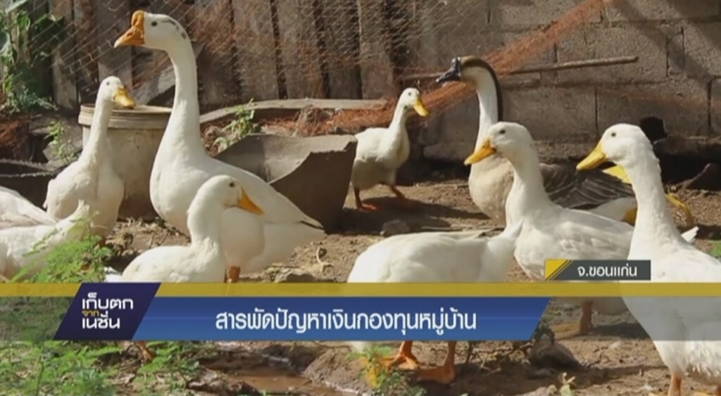 สารพัดปัญหาเงินกองทุนหมู่บ้าน สารพัดปัญหาเงินกองทุนหมู่บ้าน