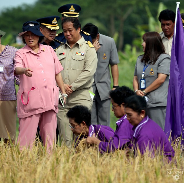 สมเด็จพระเทพฯ ทรงเกี่ยวข้าวในแปลงนาเกษตรกรบ้านท่าด่าน ปัตตานี