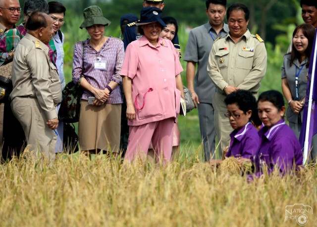 สมเด็จพระเทพฯ ทรงเกี่ยวข้าวในแปลงนาเกษตรกรบ้านท่าด่าน ปัตตานี
