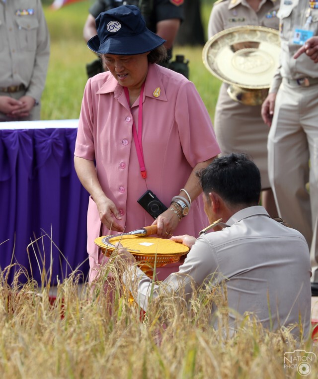 สมเด็จพระเทพฯ ทรงเกี่ยวข้าวในแปลงนาเกษตรกรบ้านท่าด่าน ปัตตานี