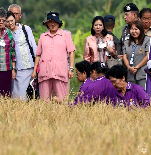 สมเด็จพระเทพฯ ทรงเกี่ยวข้าวในแปลงนาเกษตรกรบ้านท่าด่าน ปัตตานี