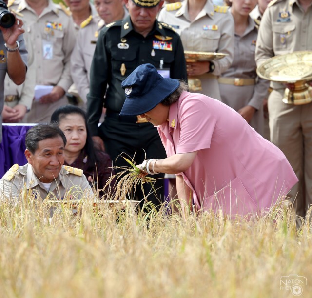 สมเด็จพระเทพฯ ทรงเกี่ยวข้าวในแปลงนาเกษตรกรบ้านท่าด่าน ปัตตานี